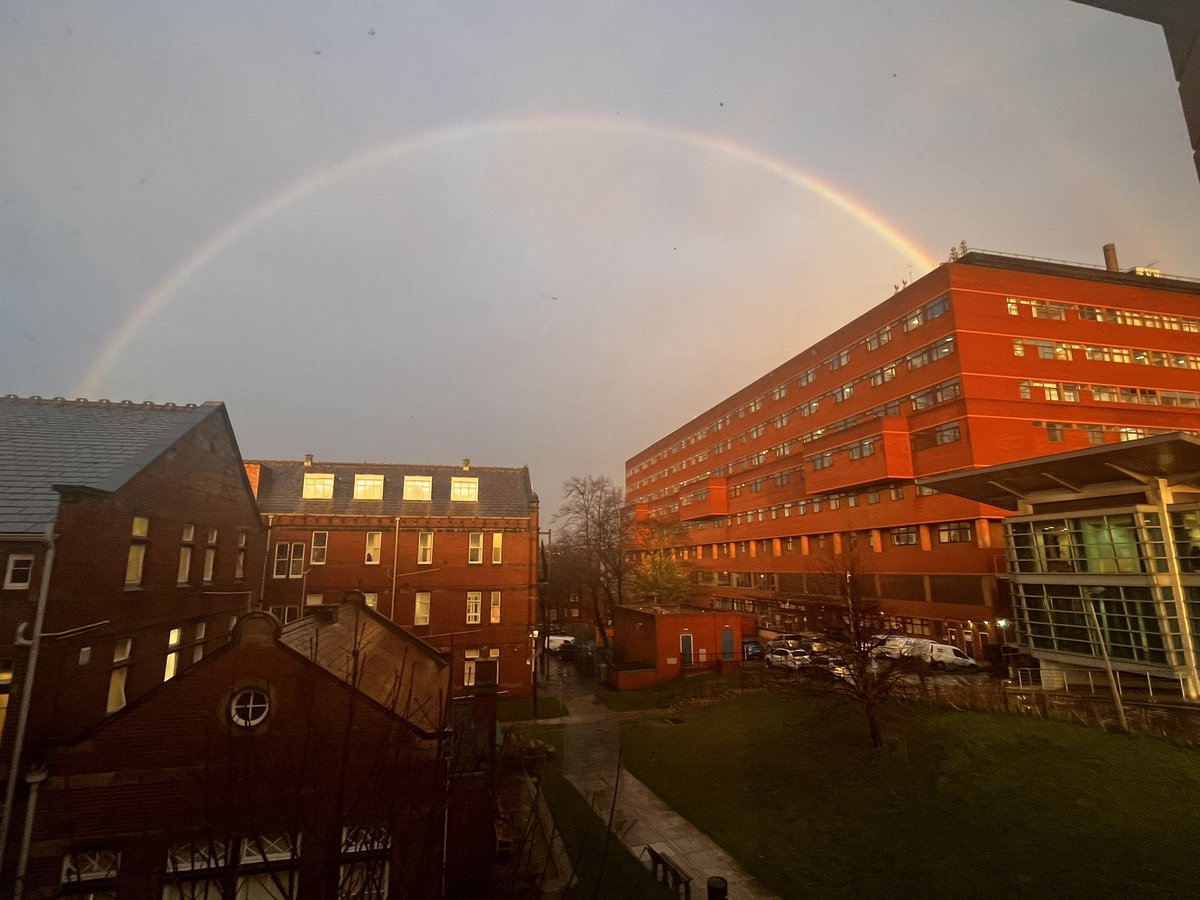 Beth Barron tweet media