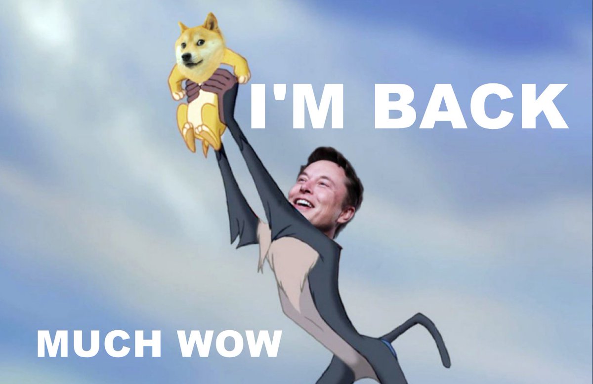 ElockChain's tweet image. I&apos;M BACK !!!

MUCH WOW!!!

#doge #dogecoin #DogecoinToTheMoon