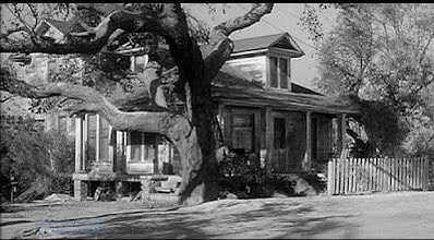leepeacock2013's tweet image. The Radley Place had ceased to #terrify me, but it was no less #gloomy, no less chilly under its great oaks, and no less uninviting. - “To Kill a Mockingbird” by Harper Lee #TKAMisahorrornovel @lovecraftezine @misanthropemike