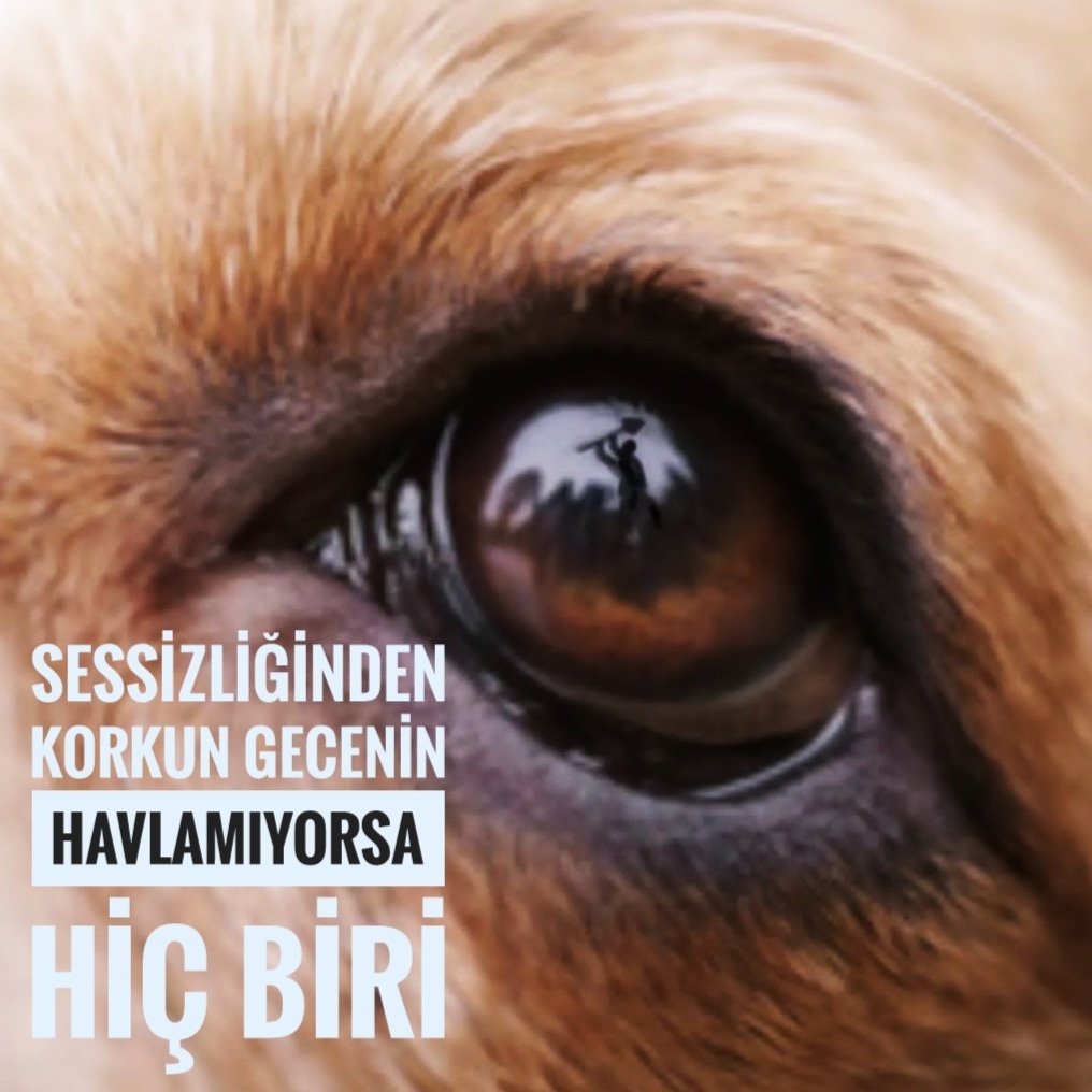 #ALLAHBELANIZIVERSIN
#Konyadakatliamvar
#Mamaktakatliamvar