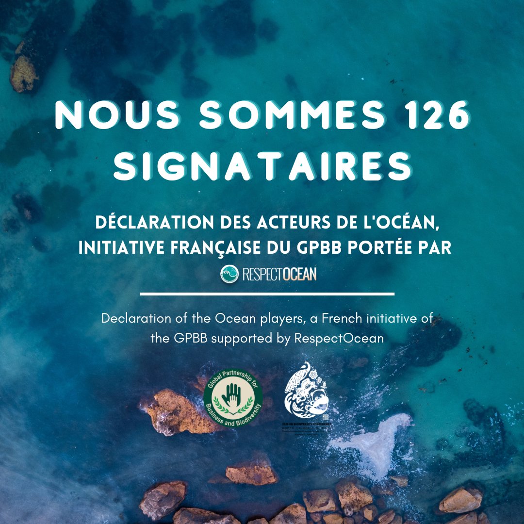 The SeaCleaners tweet media