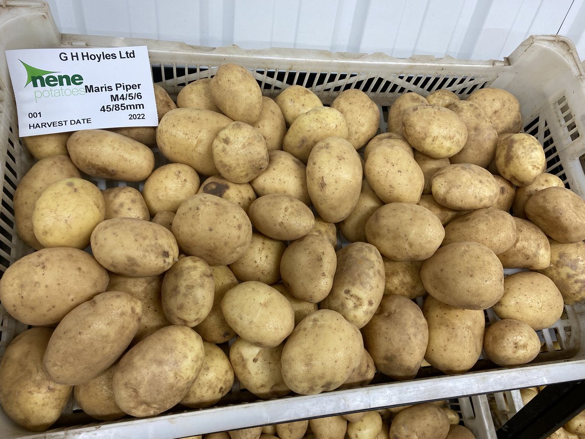 David Hoyles tweet media