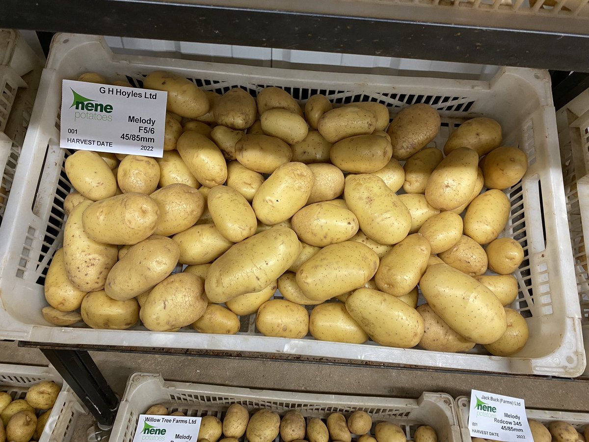 David Hoyles tweet media