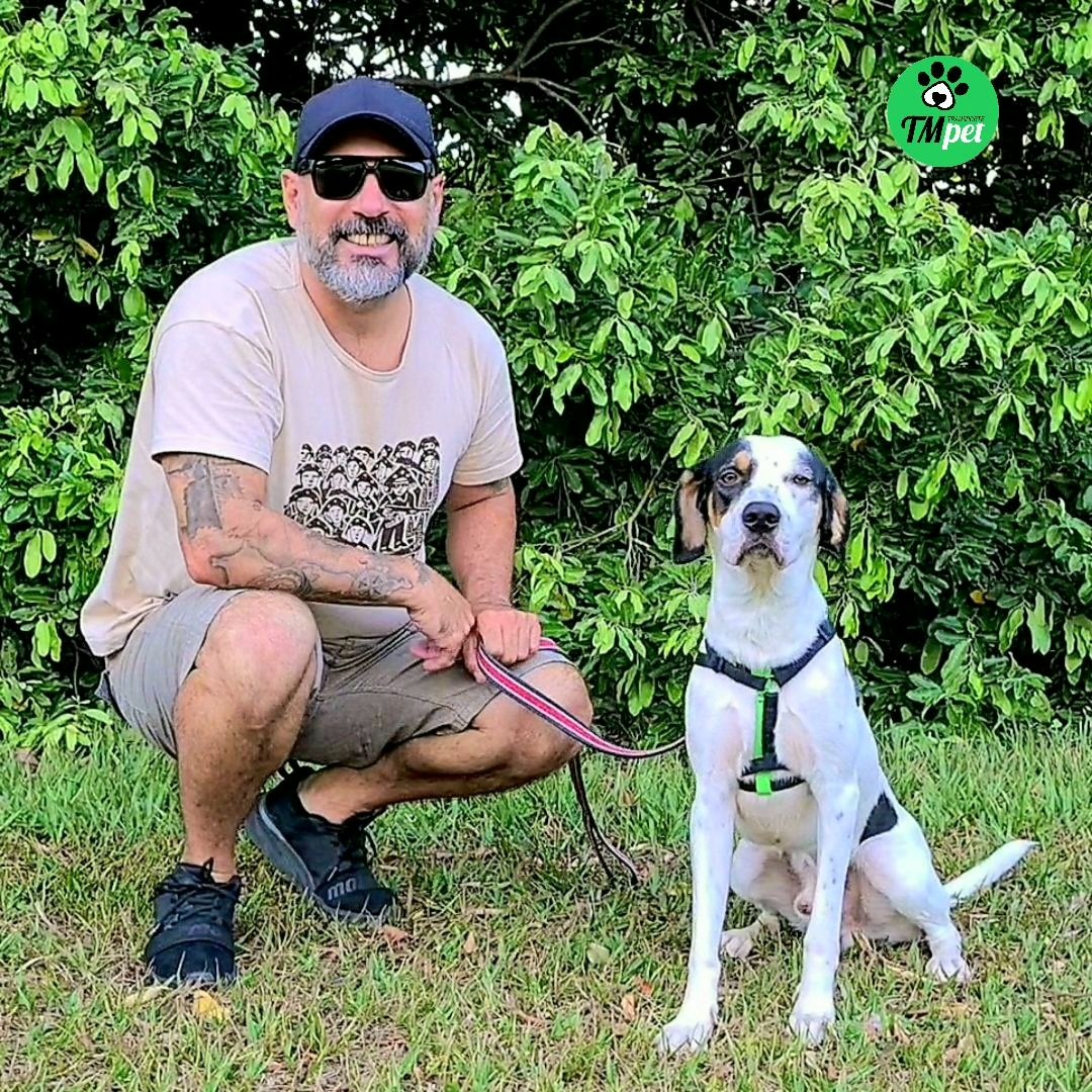 tmtransportepet's tweet photo. Transporte terrestre interestadual de pets
Cuiabá/MT x Valinhos/SP
⁣
TM Tranporte Pet
Não fazemos FRETE, Transportamos VIDAS! ⁣
⁣
📲WhatsApp (51) 99310-2259 ⁣
📧contato@tmtransportepet.com.br ⁣
🌐https://t.co/a27nNs6hEP⁣
⁣
#tmtransportepet⁣
#pets #cuiba #sp https://t.co/sBdUFeyT2O