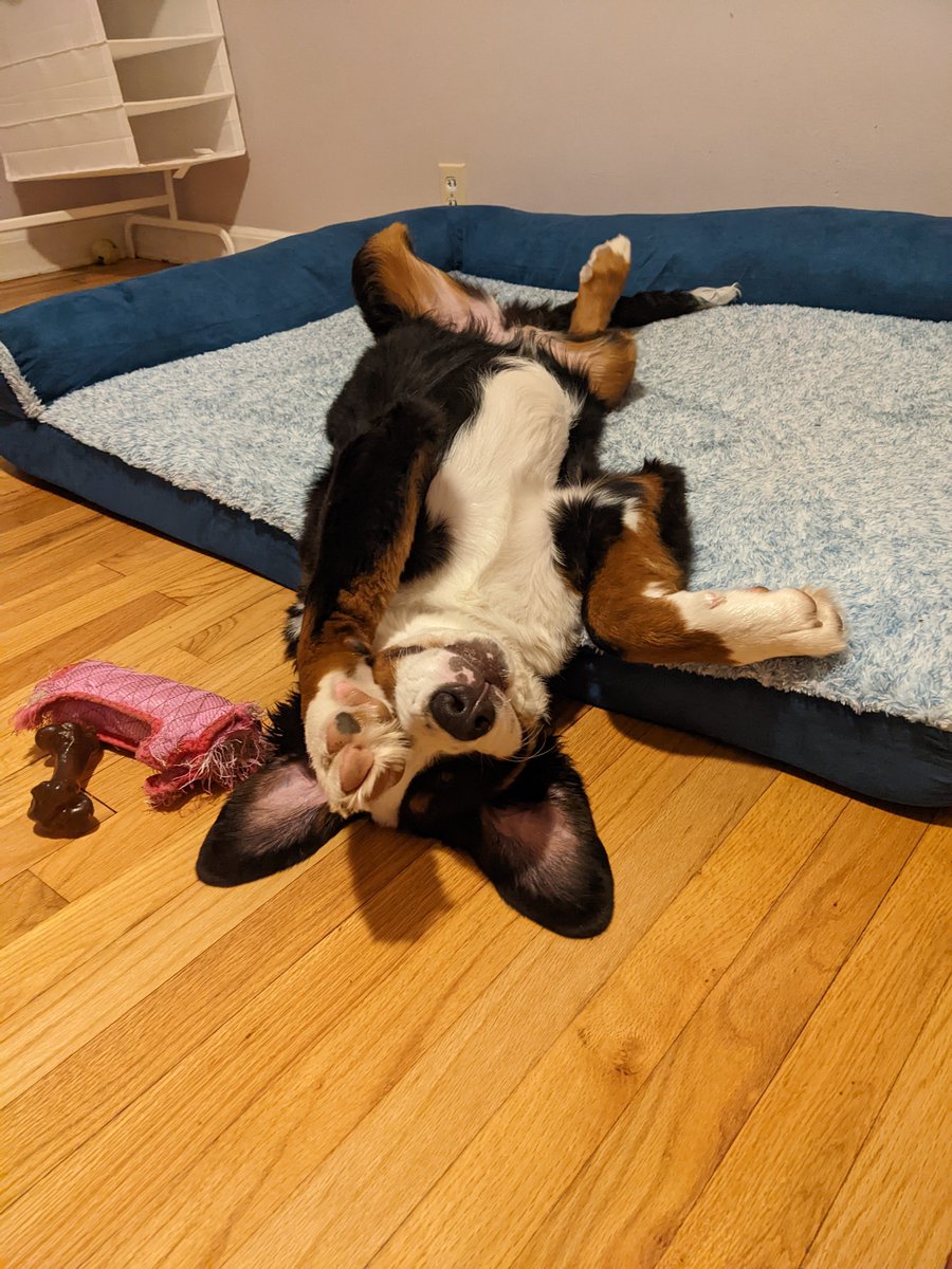 Patrick O'Brien tweet media