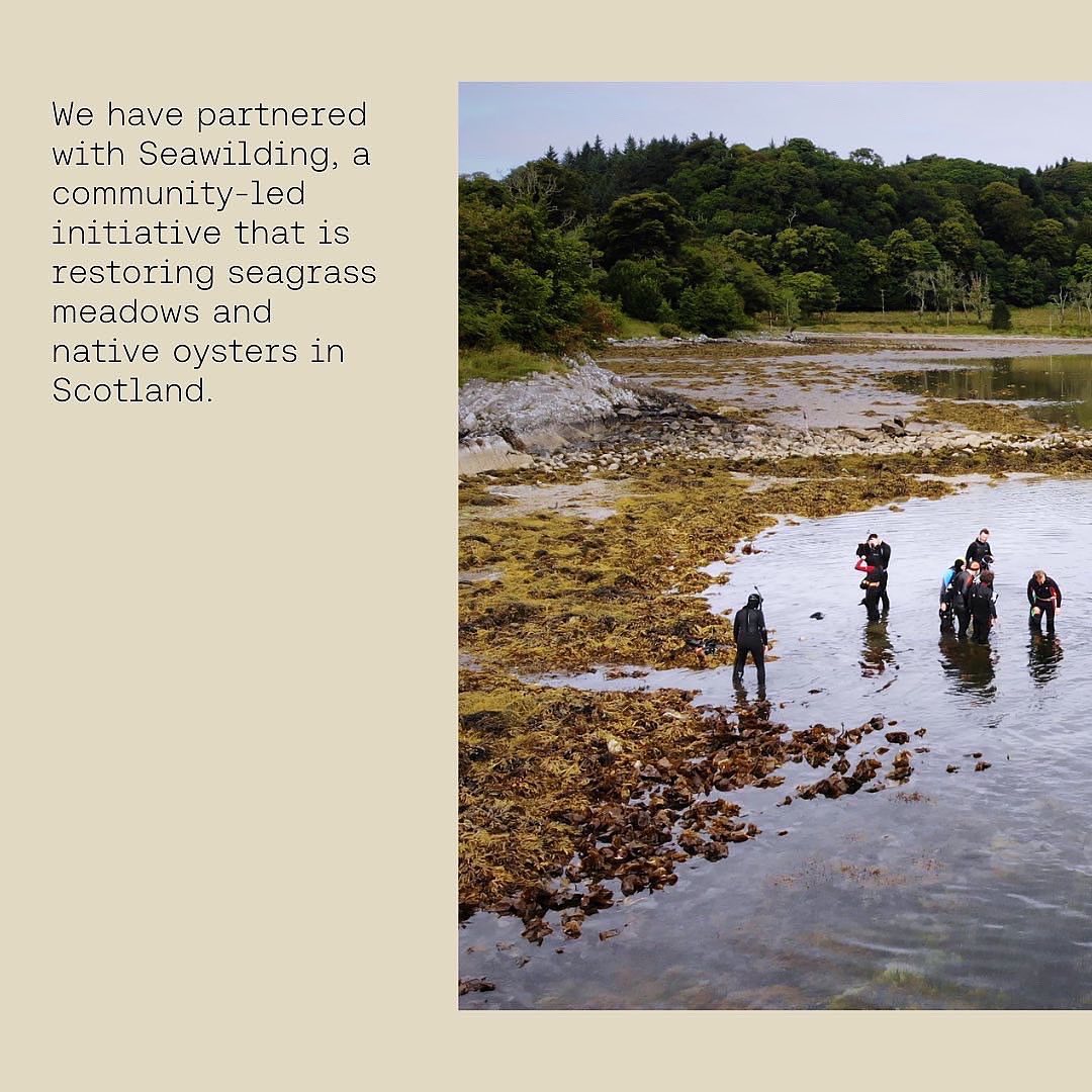 feragaia's tweet photo. We mark Black Friday differently at Feragaia and have partnered with @seawilding, a community-led initiative that is restoring seagrass meadows and native oysters in Scotland🌿

Make a purposeful purchase with our Wrack Pack at https://t.co/qHFmWpcL6H

#GreenFriday #WrackFriday https://t.co/DOkP6DYCrc