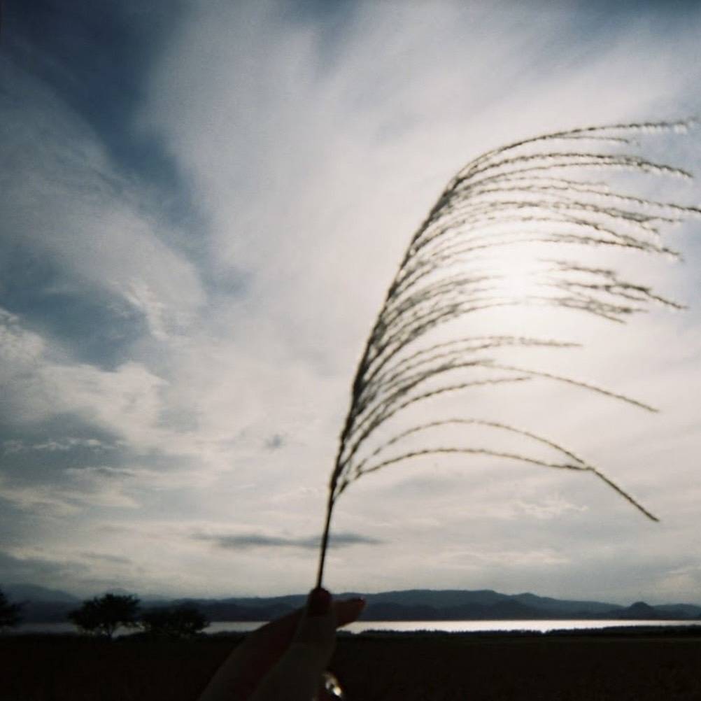 東京パピーズ TOKYO PUPPIES tweet media