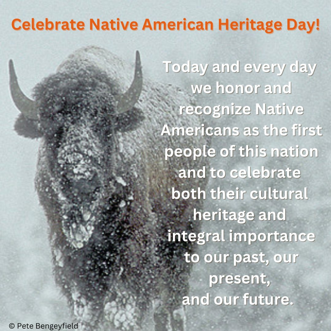 Celebrate Native American Heritage Day! Today and every day we honor and  recognize Native Americans as the first people of this nation and to  celebrate both their cultural heritage and integral importance, image size:1080x1080
