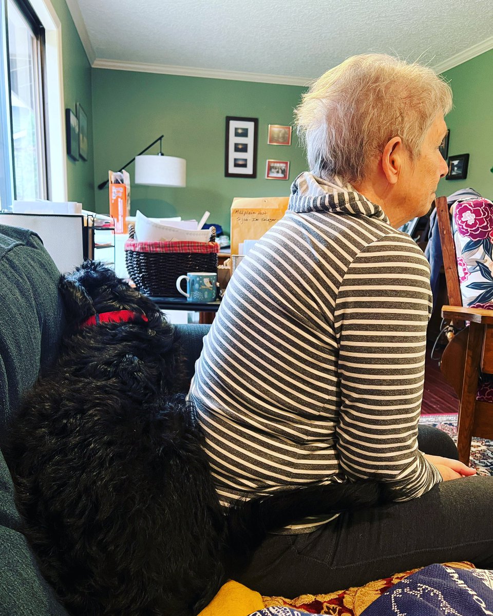 RaeThe14's tweet photo. Murray is worried about Mom’s posture during the World Cup.  Also, is Zimmerman the new Michael Bradley?  Asking for a friend… https://t.co/bDCAxD5y6X
