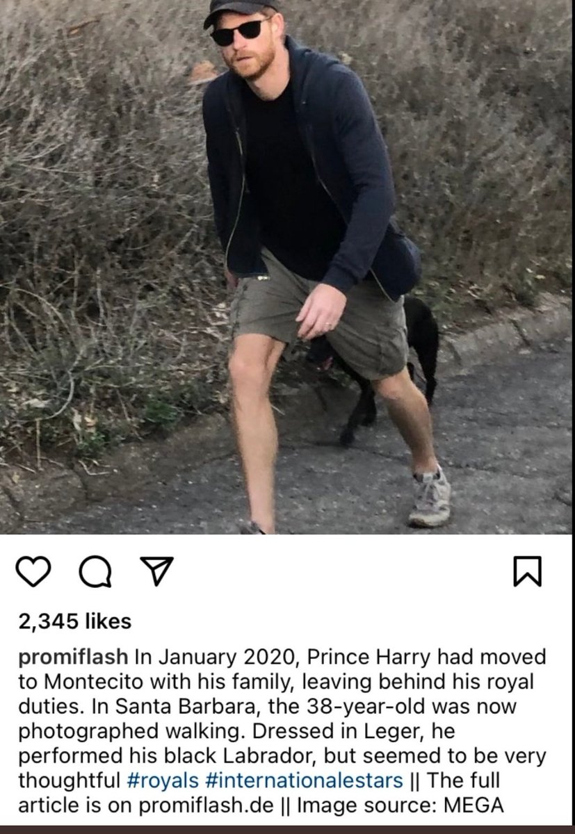 Ann90335924's tweet photo. @hrrysgreysuit I'm trying to figure out what "PERFORMED HIS LABRADOR" means. It sounds hilarious! #notsocandid #PaidMediaUnreliable #markled #hypocriteHarry https://t.co/cwtaD4etIz