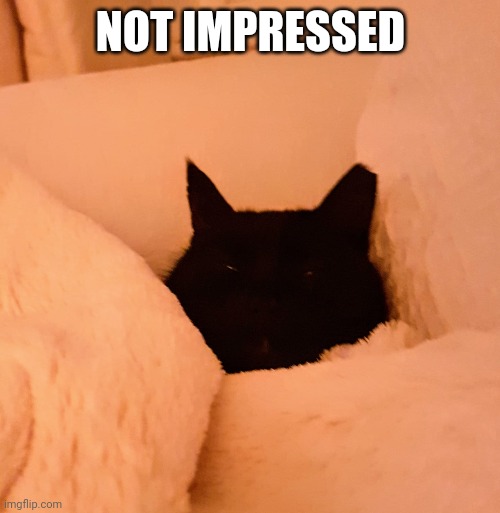 #ENGLAND #WorldCup #WorldcupQatar2022 #englandvsUSA 
Pitiful first half! Sort it out mush <a href="/GarethSouthgate/">Gareth Southgate</a>