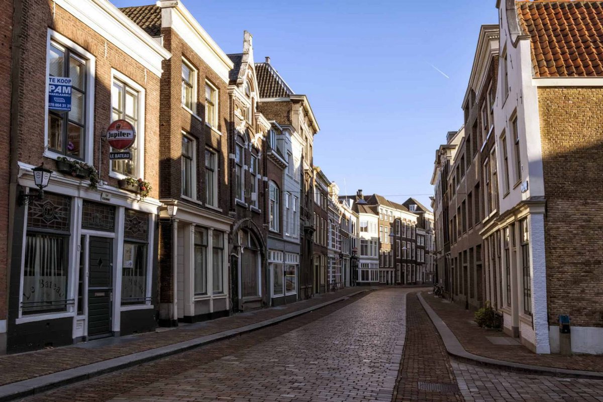 Fever🕊 tweet media