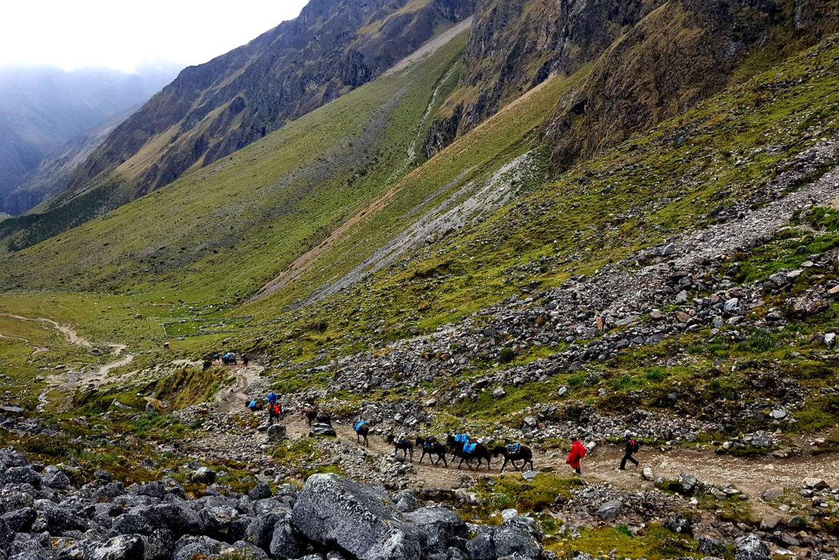 Outpost Magazine tweet media