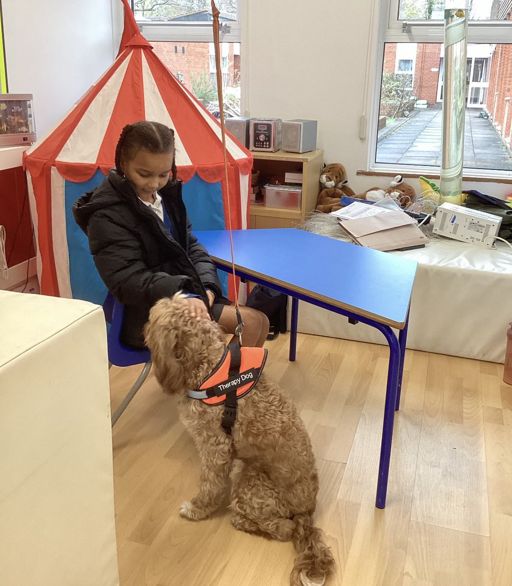 DovecotesSchool's tweet photo. We love our visits from @HugglePetsCIC each week and the time we get to spend time with their furry friends. https://t.co/w9SZkn8vpf