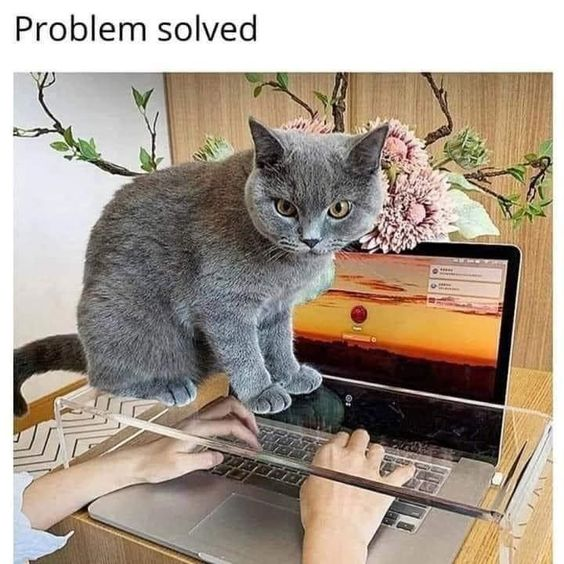 WholesomeMeme's tweet photo. https://t.co/rJOVNzqw3h