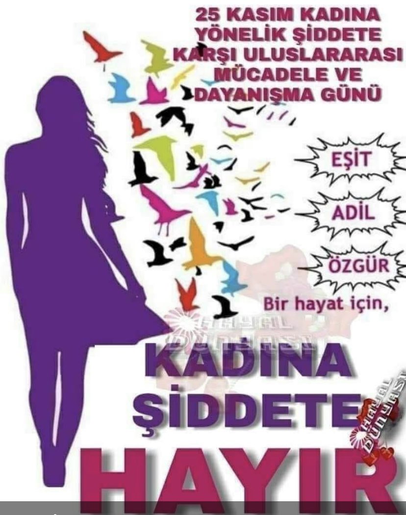 Muhittin Gökçenay (@muhittingkenay1) on Twitter photo 