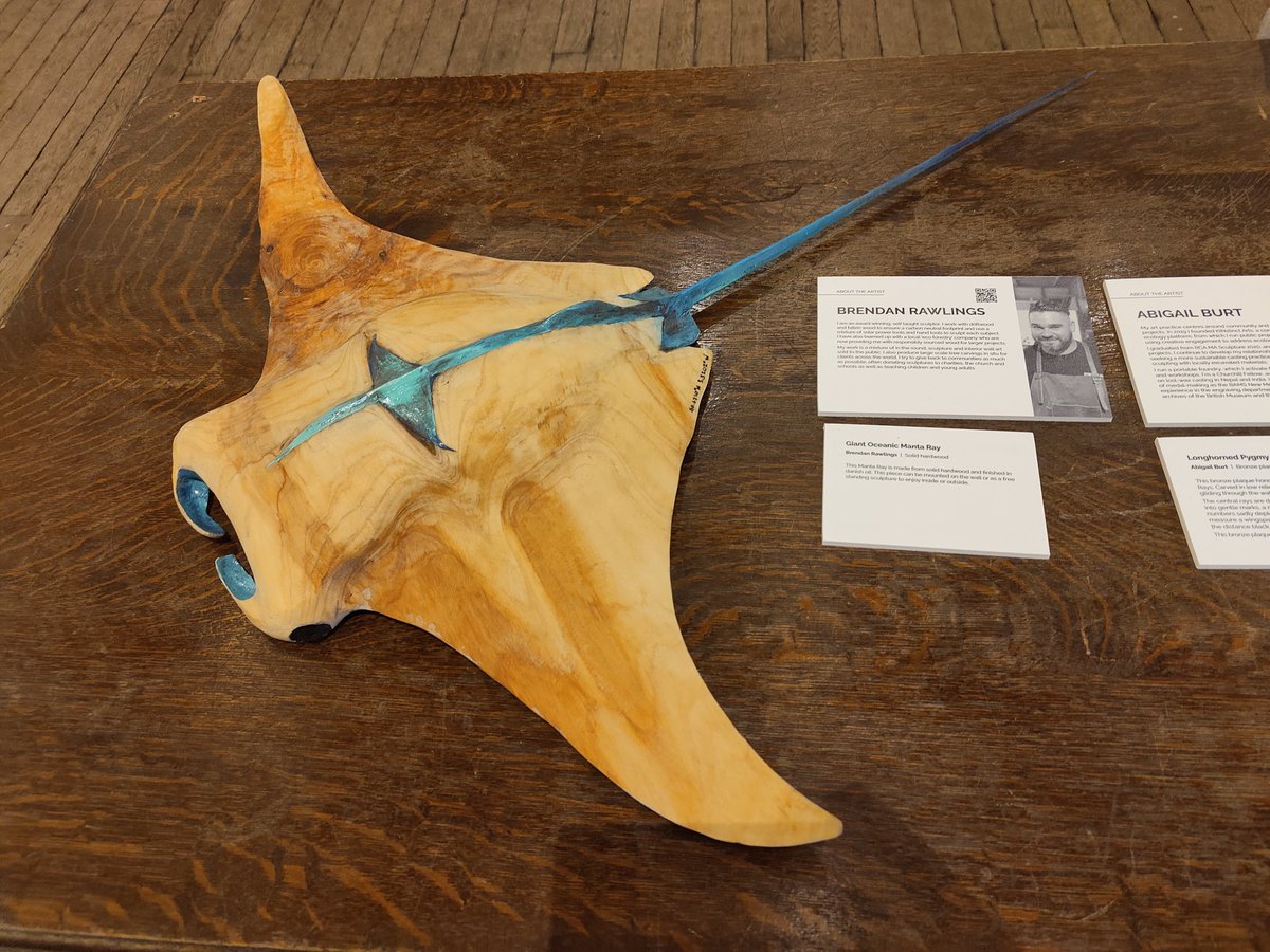 SharkTrustUK's tweet photo. An extra special thank you to the wonderful artists &amp; sculptors who have contributed their time &amp; skill towards creating unique pieces for our new #sharkart exhibition #Oceanic31 💙 We loved seeing everything coming together &amp; are excited to see the collection grow!  🦈 https://t.co/u8cRqKfk9I