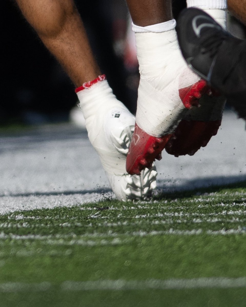 Peter G Schmidt tweet media