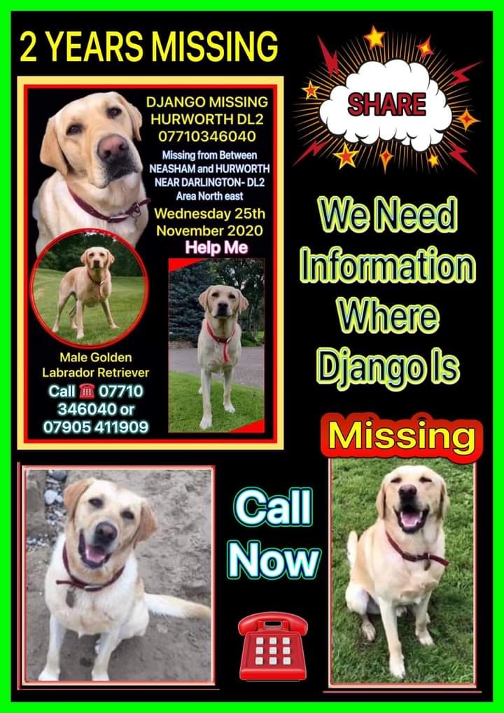 joannew0112's tweet photo. Please rt . Where is Django? Someone has the answer so please speak up and help mend π #Django has been #missing for two years after vanishing from his home in #Hurworth nr #Darlington on 25th Nov 2020 π #findDjango #ScanMe https://t.co/BC5qd7ueHdβ¦ https://t.co/4JlNcbEQDL