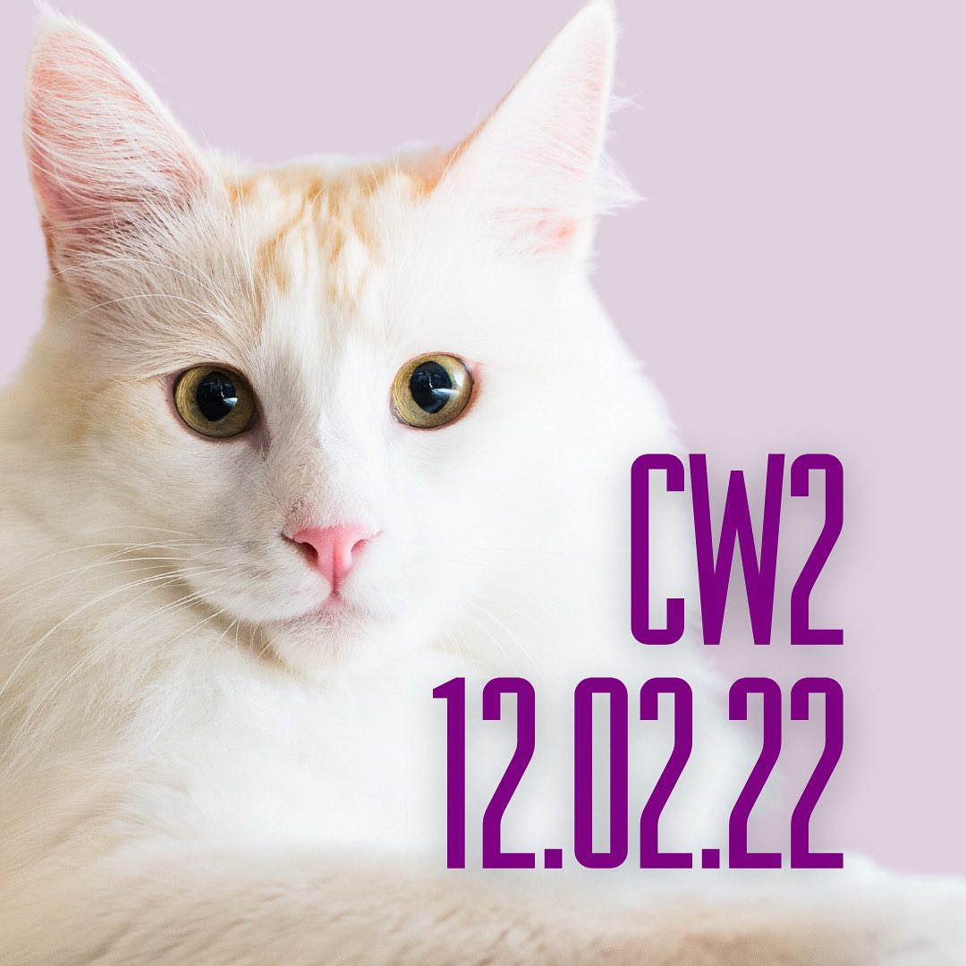 1 WEEK AWAY!! We can’t wait to share Catwalk 2: The Comeback Cats in Canada!! 😺

Tune in to <a href="/CBC/">CBC</a> or stream on <a href="/cbcgem/">CBC Gem</a> on December 2nd!!