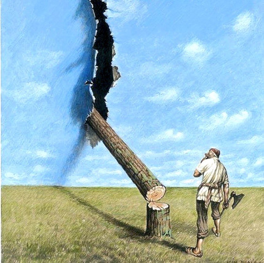 ماهو التعليق أو الوصف المناسب للصورة!!!