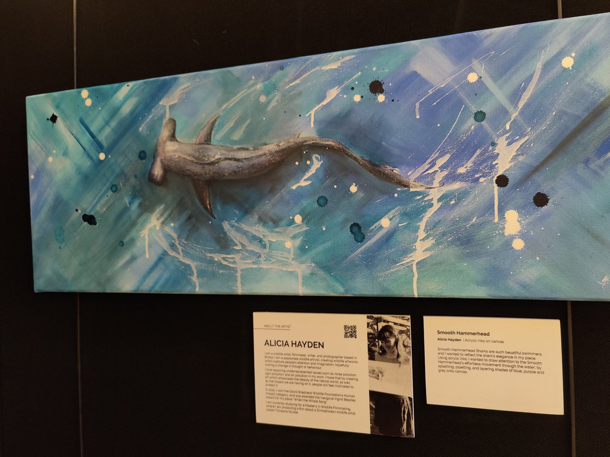 SharkTrustUK's tweet photo. It's been wonderful to see sharks represented in so many different styles &amp; mediums - including acrylic, bronze, wood, oil, watercolour, textile, giclée, ink... We absolutely love them all! 🎨👌#ForTheLoveOfSharks #Oceanic31 https://t.co/IqO67Qo4OY