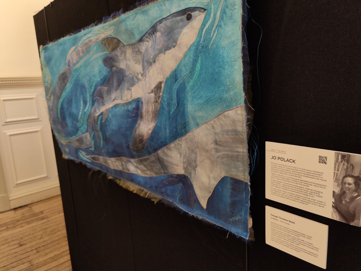 SharkTrustUK's tweet photo. It's been wonderful to see sharks represented in so many different styles &amp; mediums - including acrylic, bronze, wood, oil, watercolour, textile, giclée, ink... We absolutely love them all! 🎨👌#ForTheLoveOfSharks #Oceanic31 https://t.co/IqO67Qo4OY