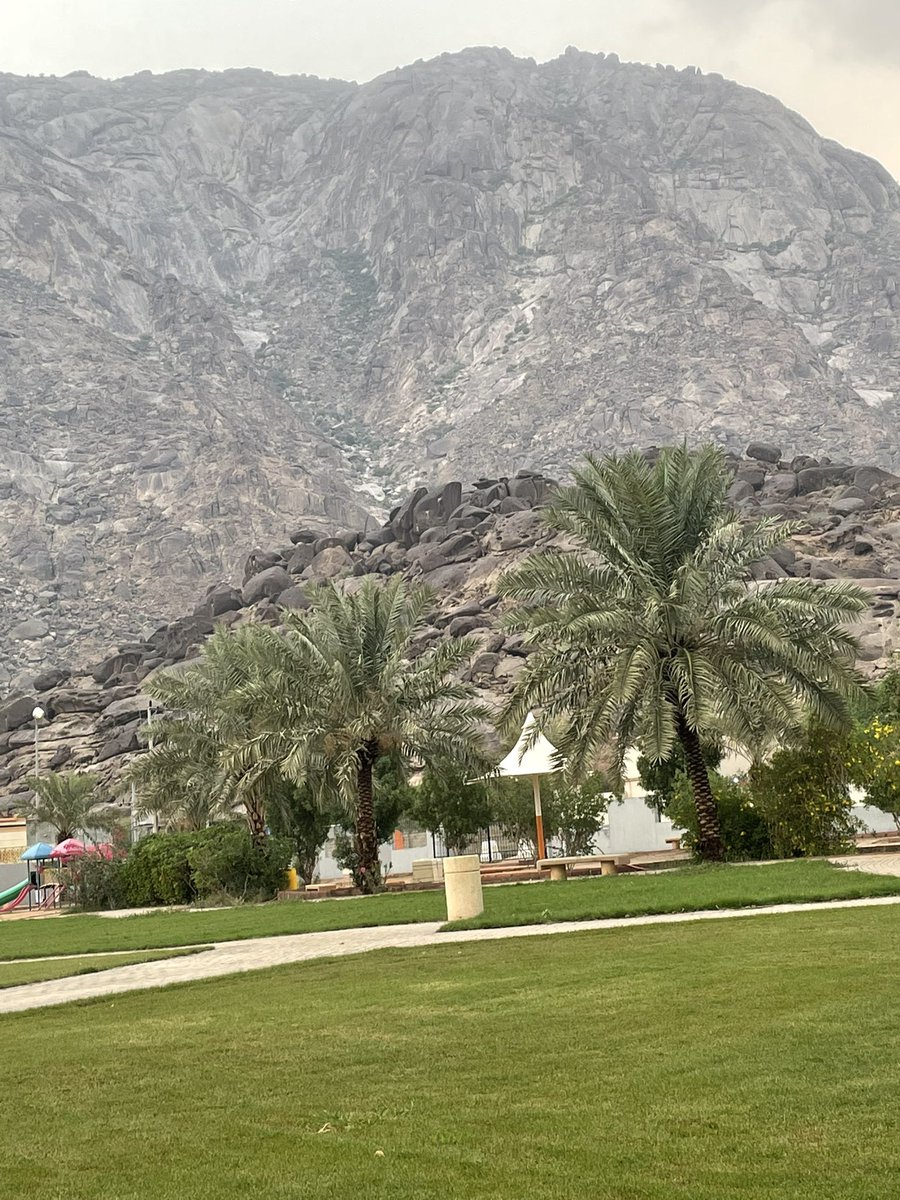 " إنما القلوب أمانة، 
تخيّروا لقلوبكم مُستقرّها ومُستودعها "