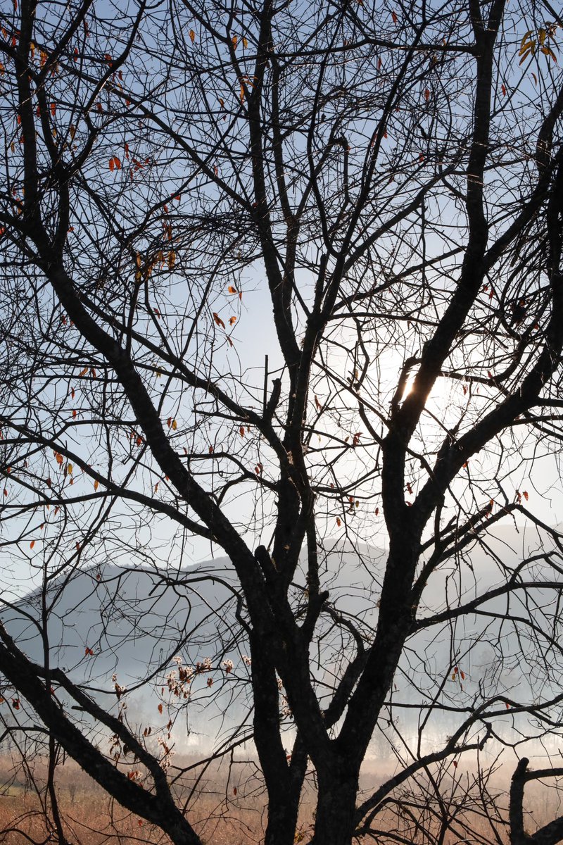 I have been absolutely itching to get back outdoors. I cannot wait. 
#photography #photo #photographer