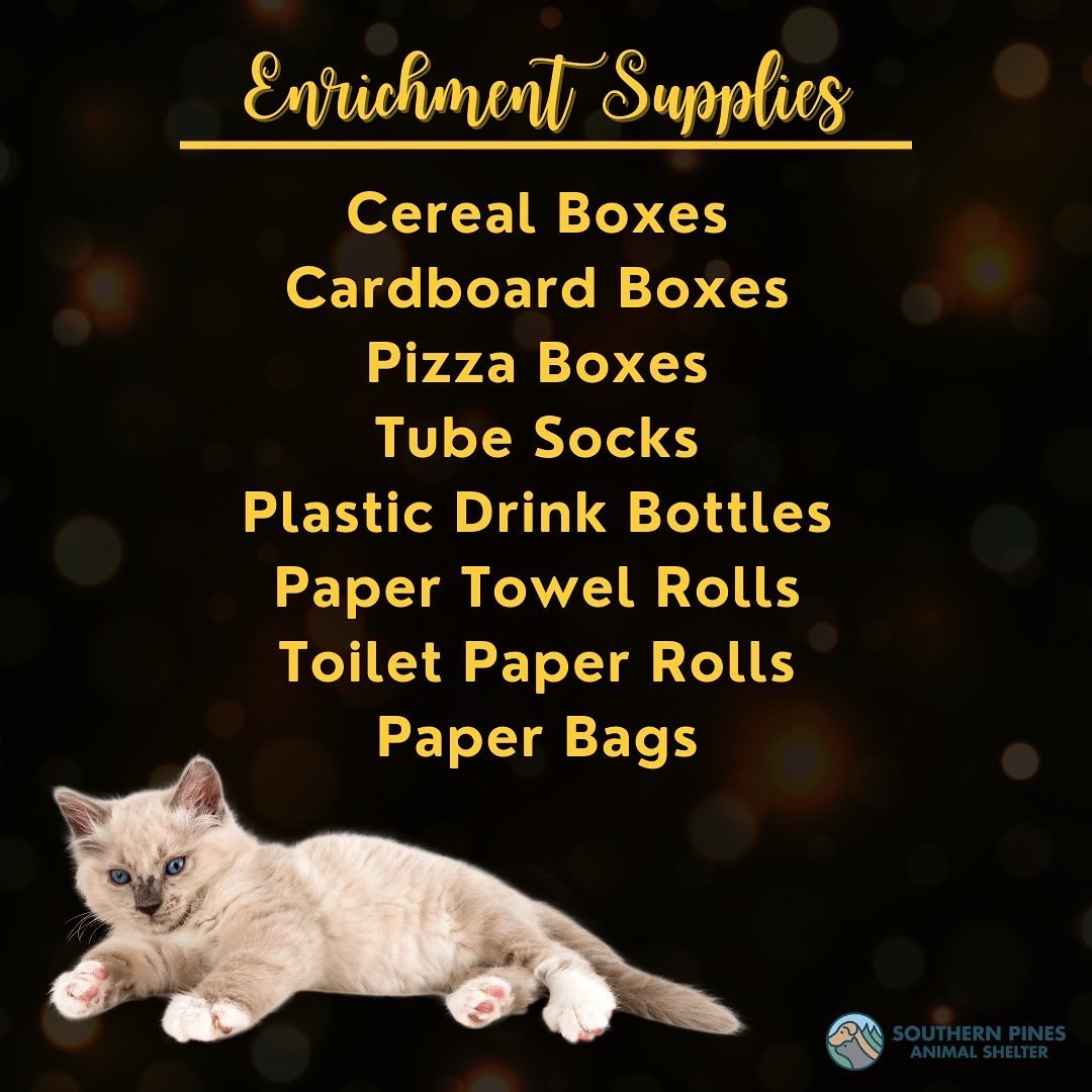 This year, the Student Government Association will be partnering with Southern Pines Animal Shelter for “Lighting the Way”! Come out to enjoy the festivities, and please bring an item so that the shelter can continue to take care of our furry friends! See you Wednesday!