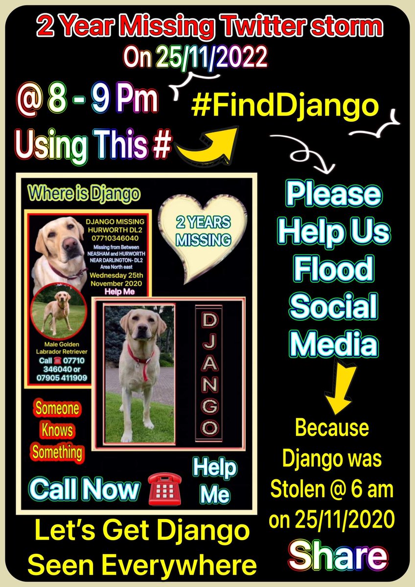 ZuccoIsMissing's tweet photo. #findDjango
This is #Django's β‘Twitterstormβ‘
Django disappeared from his home between Neasham and Hurworth, near Darlington #DL2 North East #Darlington on 25th Nov 2020 at 6am
Django - adult male golden Labrador Retriever
DogLost ID: 162441
Group Link: https://t.co/4Z8uHk7RBr https://t.co/3hpcugGhpW