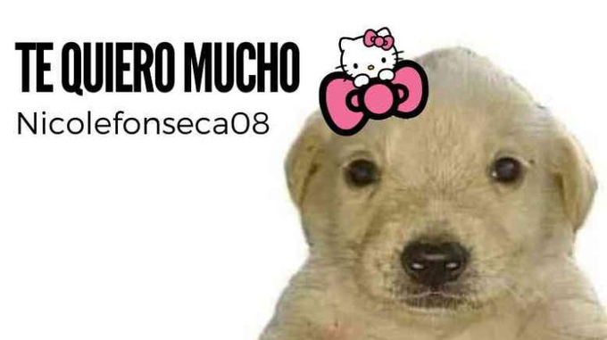 ELMOD_GVO's tweet photo. @nicolefonsecab https://t.co/3j3AlmoWKC