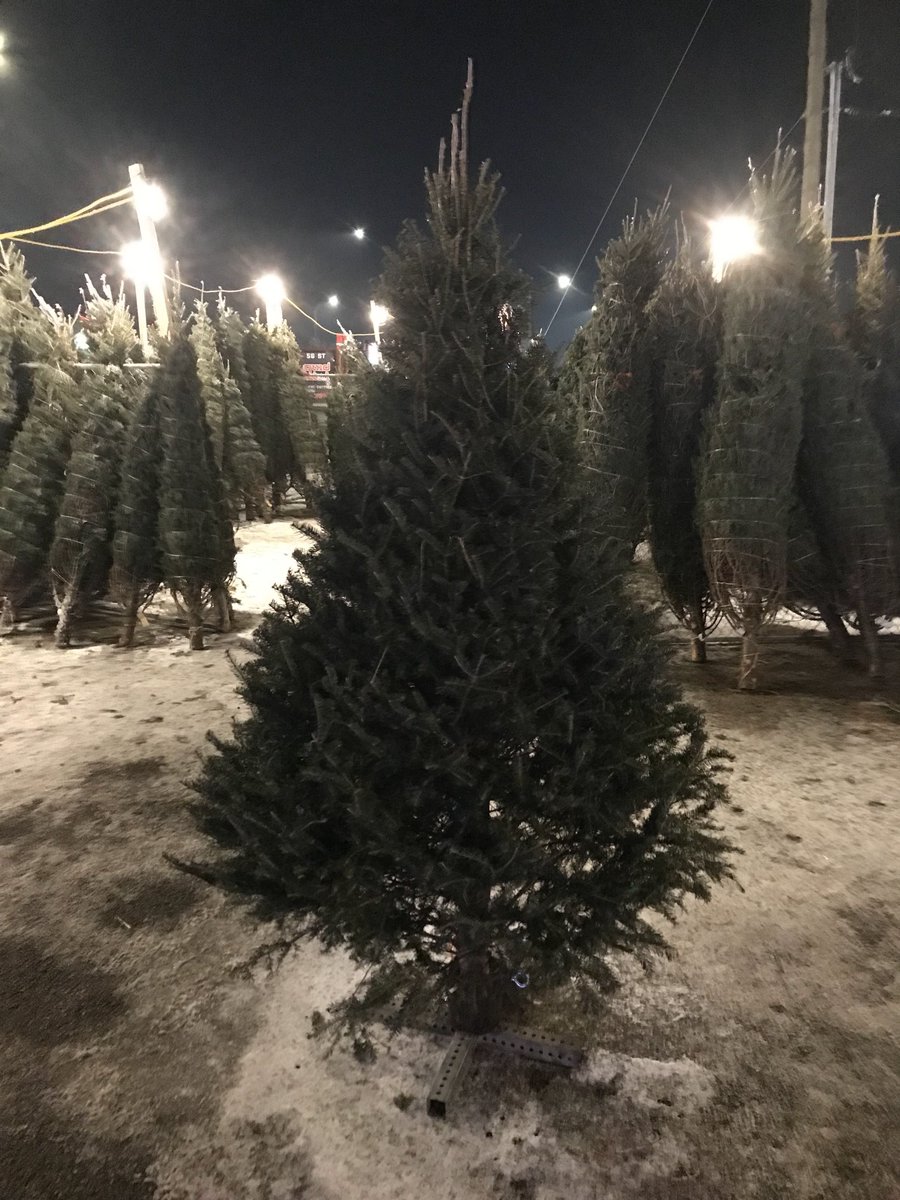 Louis Stang tweet media