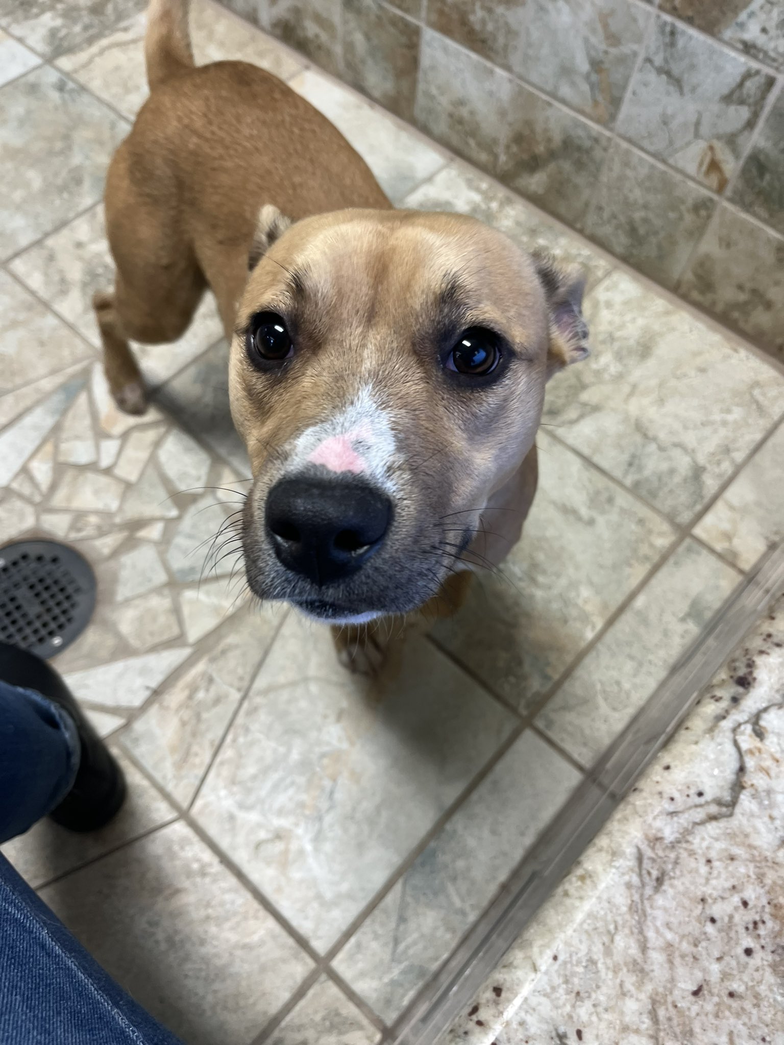 Brandy Jensen on Twitter "i’m going to take her home https//t.co