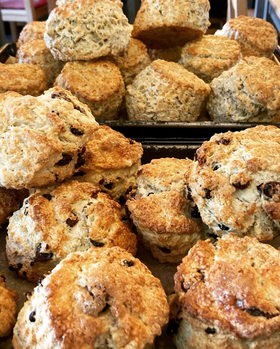 Some of our fabulous home baking… 

🧡Carrot loaf cake
💚Scones
💜Orange, walnut &amp; raisin cake
💛Fiery ginger cake

Open Thursday-Sunday 10-4! 

#littlechamonix #littlechamonixcafe #homemadecake #keswick #lakedistrict