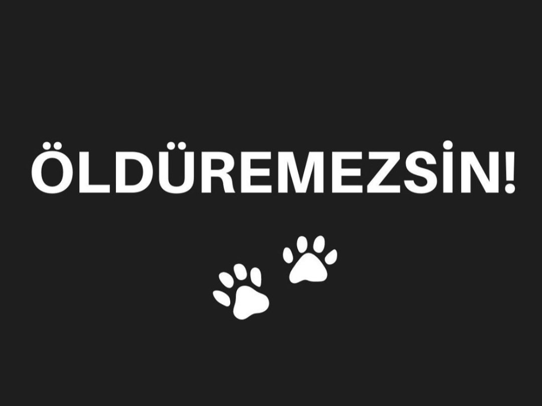 Eziyet ve Öldürmek nedir!!!..😡
#Konyadakatliamvar #Mamaktakatliamvar