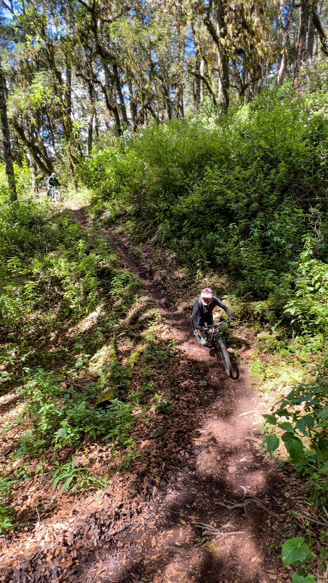 oaxacabikeexpe1's tweet photo. #oaxaca #mtb #mtbtour #oaxacatour https://t.co/Bvu20SD2ue