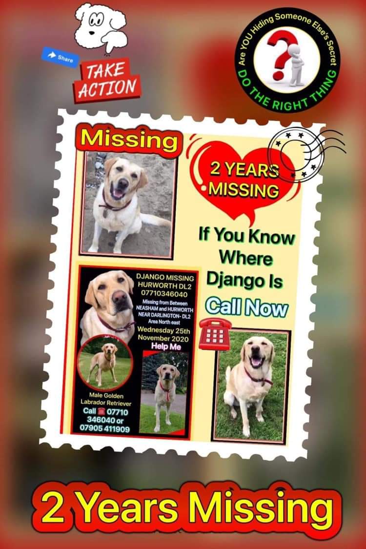 MissingPetsGB's tweet photo. #finddjango
2 Years Missing
SOMEONE knows what happened to DJANGO when he disappeared from his HOME (DL2) on 25 11 2020, at 6am.
PLEASE πππ END THE HEARTBREAK πππ and LET DJANGO COME HOME to HIS FAMILY πππ
#FindDjango
https://t.co/74CTYkqj5y https://t.co/AXmxlrWaEy
