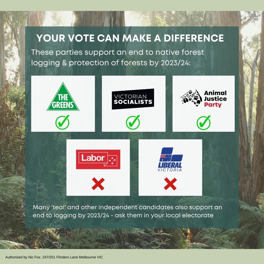 FriendsBats's tweet image. Make your vote count today. 
Vote for the forests!