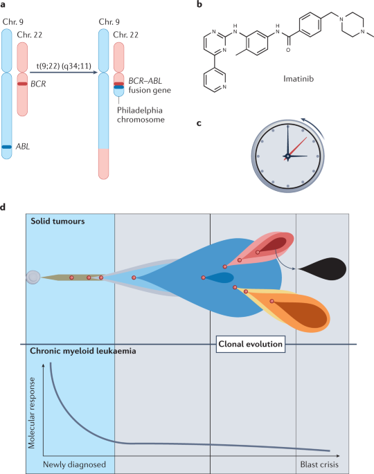 NatureRevCancer's tweet photo. NEW content online! The coming decade in precision oncology: six riddles https://t.co/nAiFBCUtWL https://t.co/7EY3RVpEdw