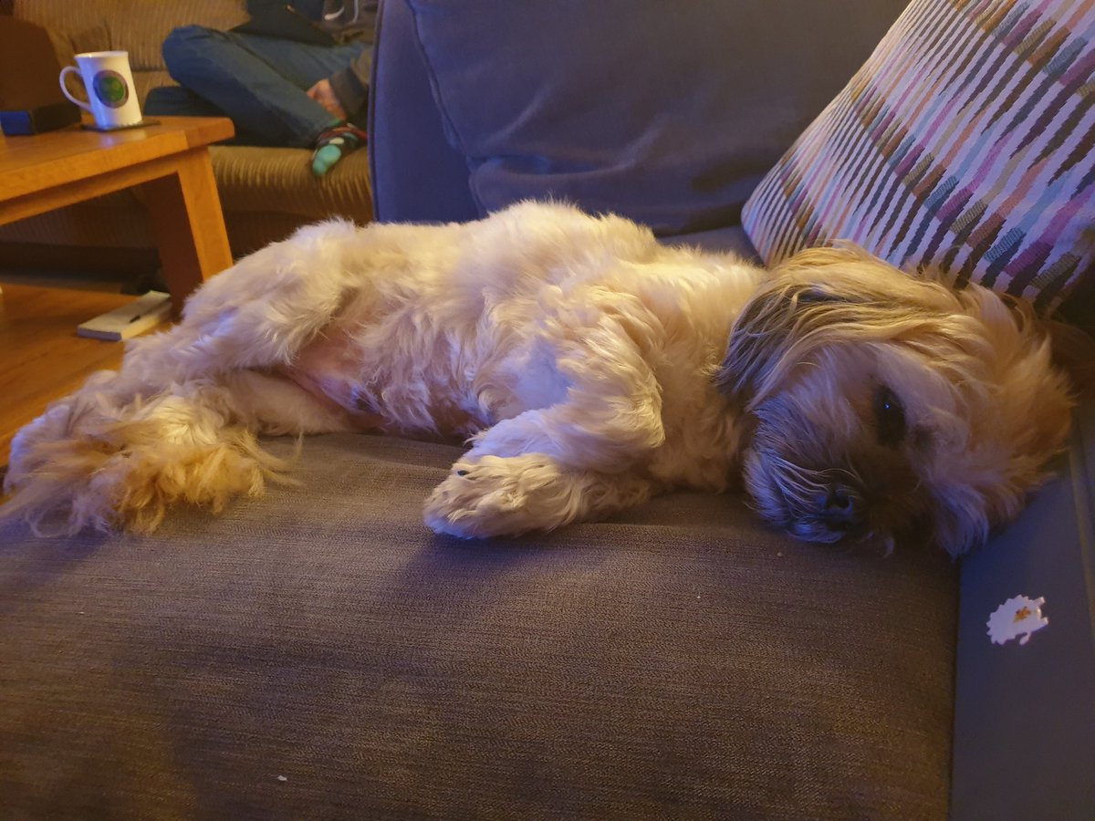 Nicola Mears tweet media