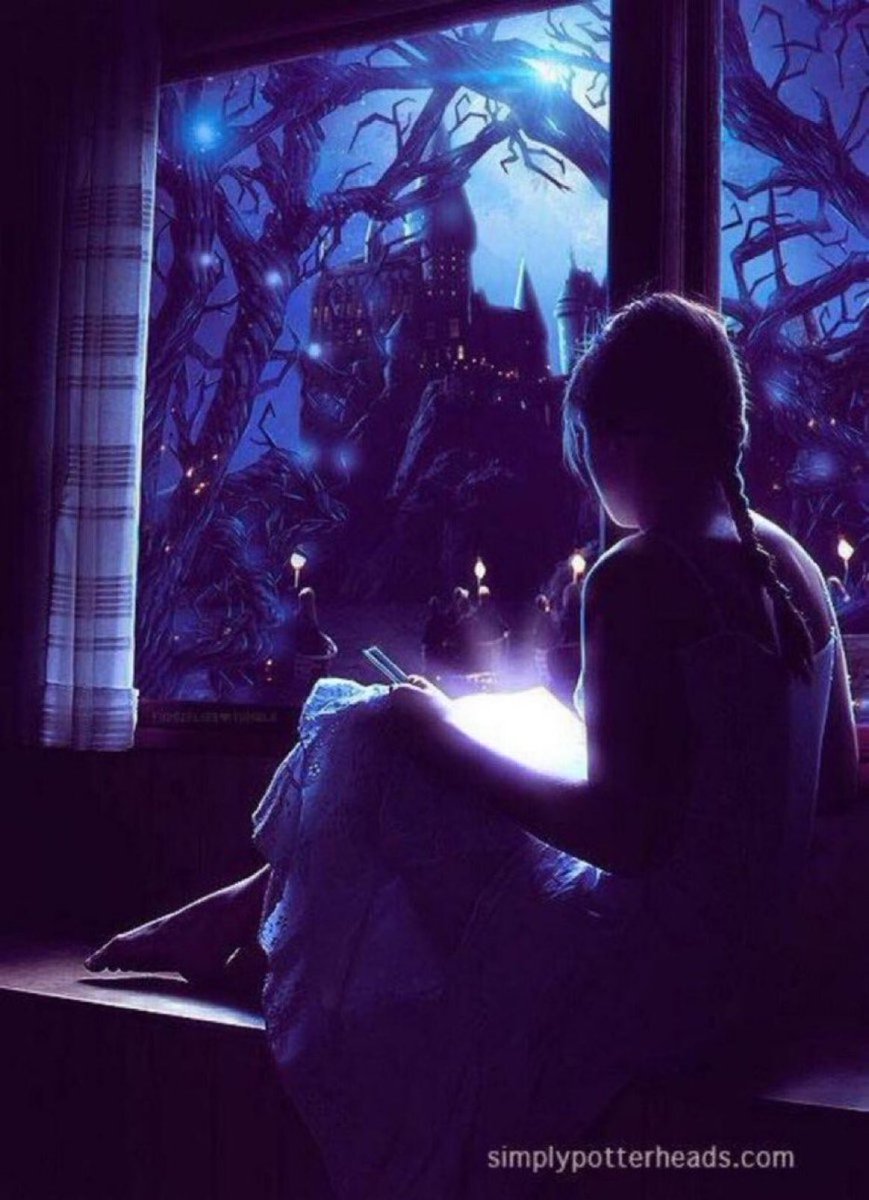 HPotterUniverse's tweet photo. What it feels like when you're reading #HarryPotter... https://t.co/Unb6xcIl5M