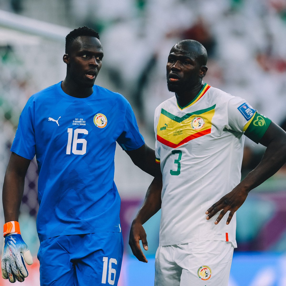 One Team, One Goal🇸🇳💙