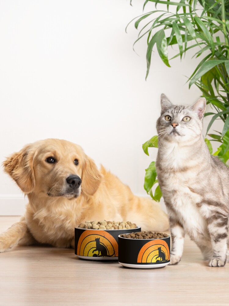CozyfurCats's tweet photo. Perfect gift for cat lovers 🔥🔥💯😻
Pets Bowl
Order Here : https://t.co/DSmJjVILXM
.
#CatsOfTwitter #CatsofTwittter
#cats #CatsOnTwitter #CatsLover #catgirl #cats #Ukraine #cute #sunset #pets #shirt #catsshirt #Saturday #Trending #explore #Dog #Animal #Cat #pets #Friday https://t.co/l8RRk2WA7b