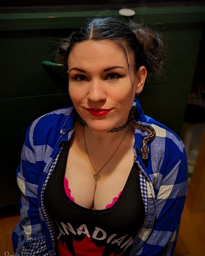 RoxieCage's tweet photo. Meet Morticia! π She's a baby ball python I rescued! Her previous owners found her terrifying, but I find her delightful! π She's my bestest buddy!
.
#tanktop #choker #spacebuns #pet #snake #dangernoodle #babyballpython #ballpython #exoticpets #cool β¦ https://t.co/OTWQhwApcL https://t.co/4xz0u8Ekw9