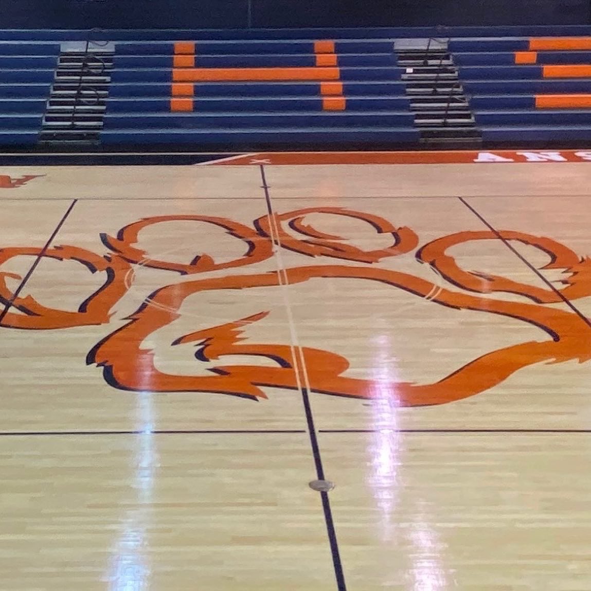 SCSbyFlooraction tweet media