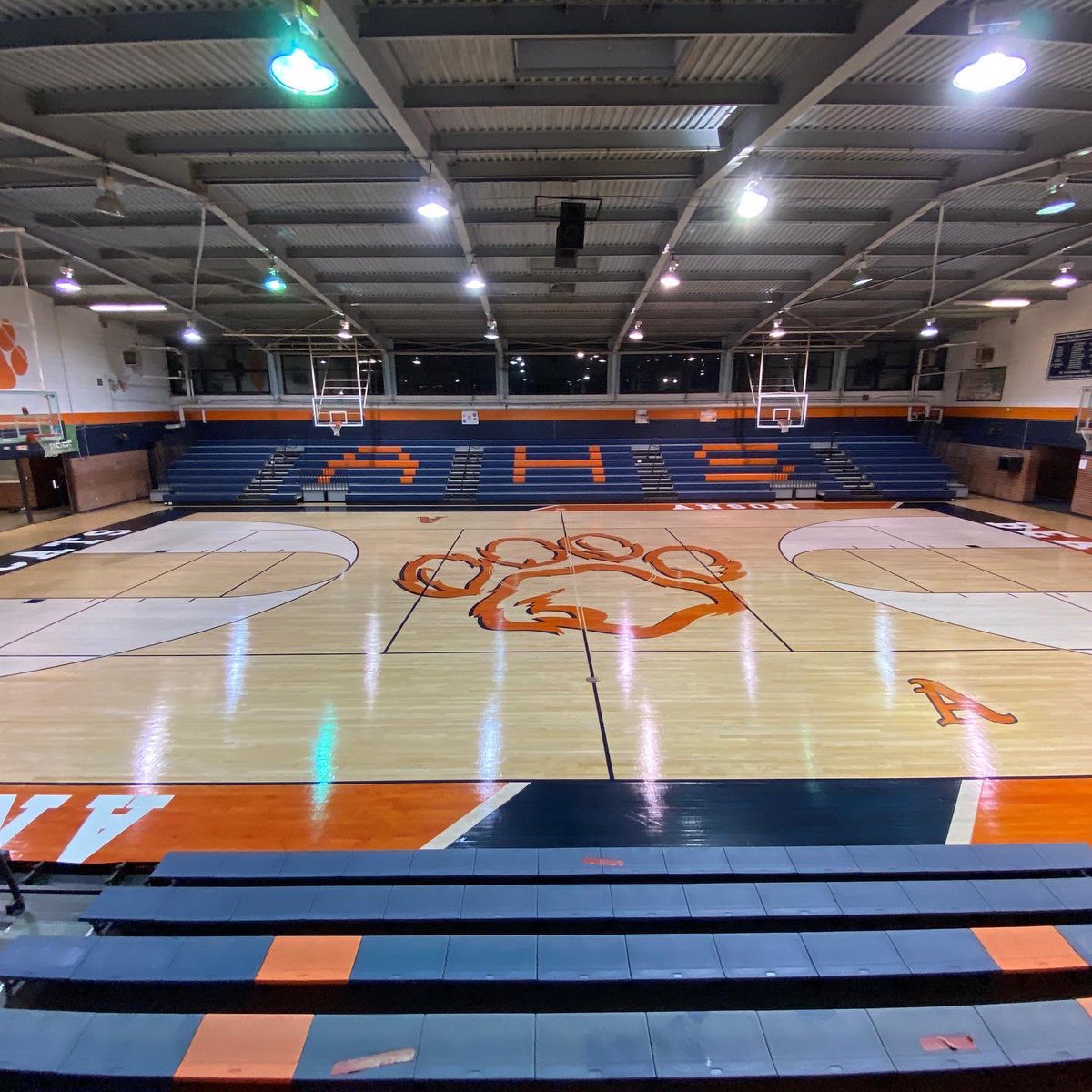 SCSbyFlooraction tweet media