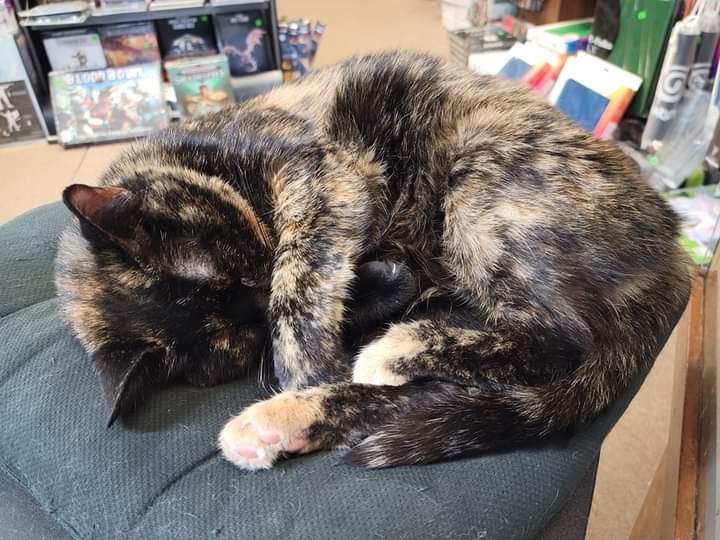 TheGeekRealms's tweet photo. In store only! #BlackFridayDeals: Buy one get one 50% off (equal or lesser value) On small posters, large #posters posters, select #games, and #DICE marked $12 or less. #boardgames #anime #manga #DnD #MTG #PokemonViolet #Cat #localowned #shoplocal #smallbusiness #RPG #shop https://t.co/5qMrP3JlrP