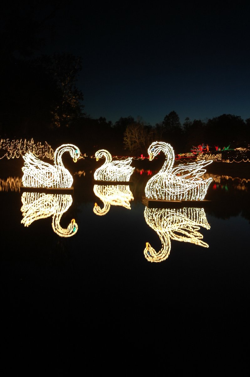 Bellingrath1932's tweet photo. Tonight's the night! We kick off our 28th year of Magic Christmas in Lights. 5pm-9pm, rain or shine. Bring your family and friends and get in the Christmas spirit! You do not want to miss our brand new scene! Spoiler alert: it's pink! ππ
#mcil #visitmobile #christmastime https://t.co/TcZIscJl2H
