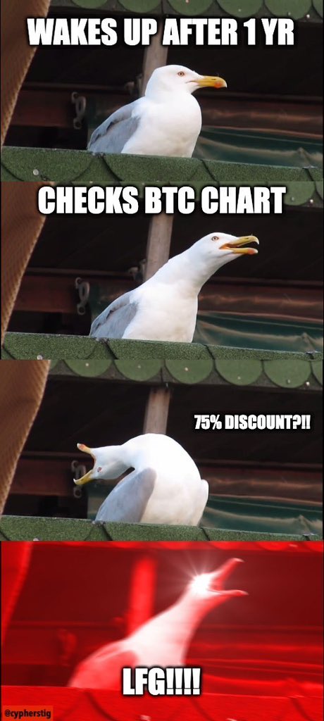 cypherstig tweet media